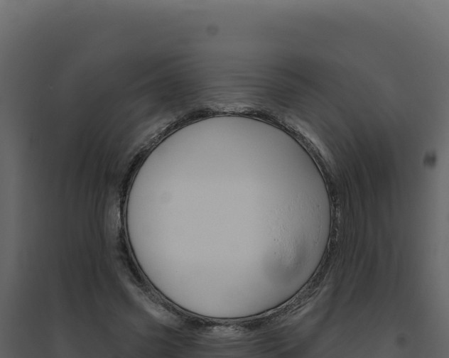 X0000094810541200711161006