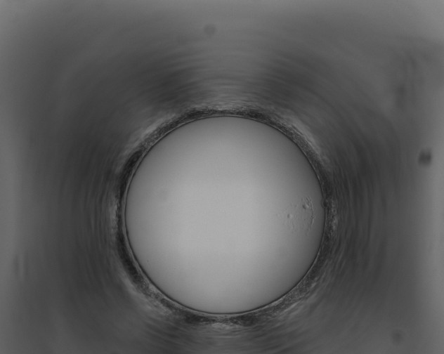X0000094810542200711161006