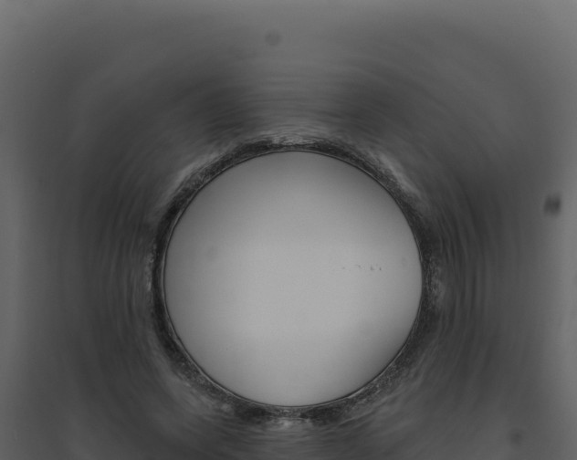 X0000094810543200711161006
