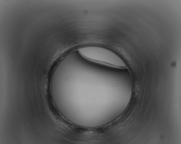 X0000094810544200711161006