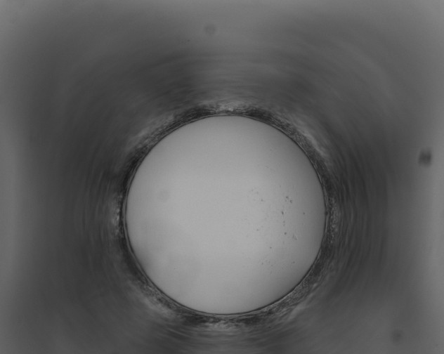 X0000094810545200711161006