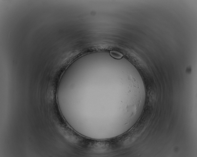 X0000094810546200711161006