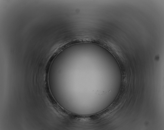 X0000094810548200711161006