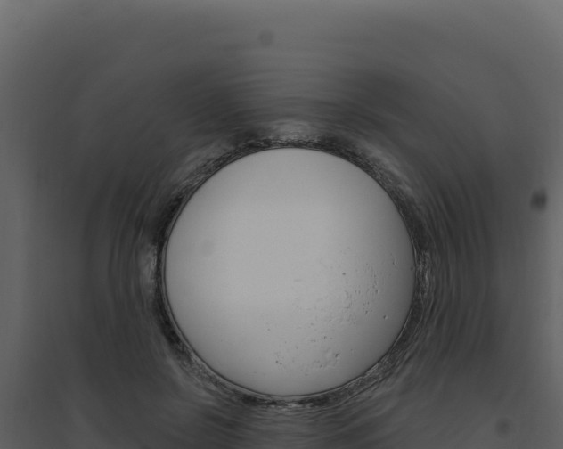 X0000094810550200711161006