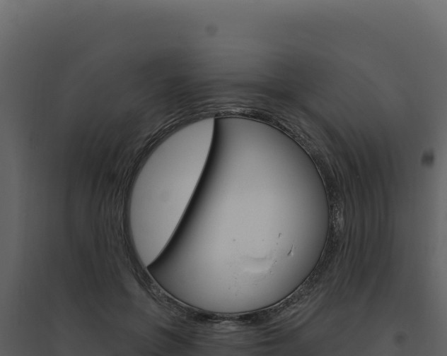X0000094810551200711161006
