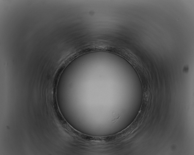 X0000094810552200711161006