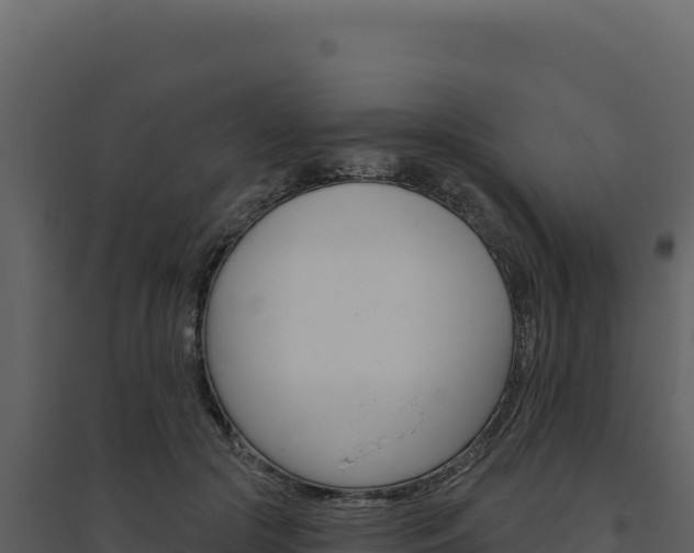 X0000094810553200711161006