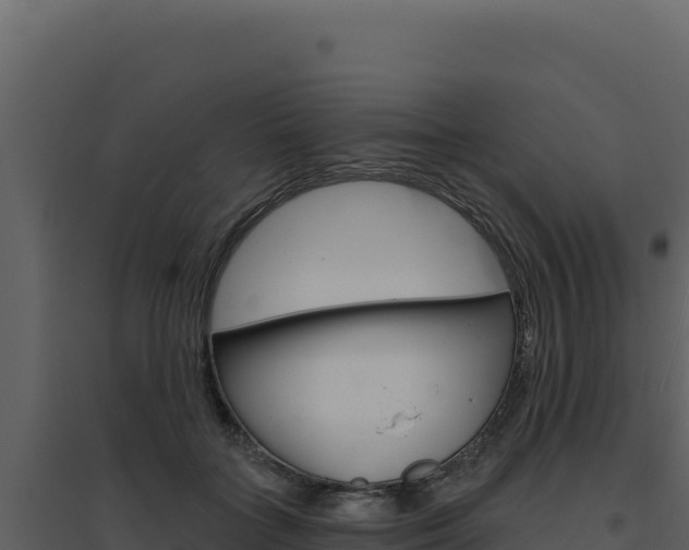 X0000094810555200711161006