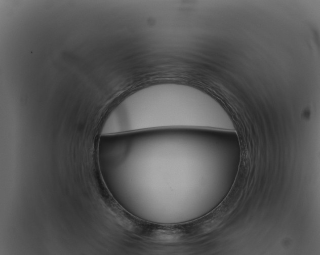 X0000094810556200711161006