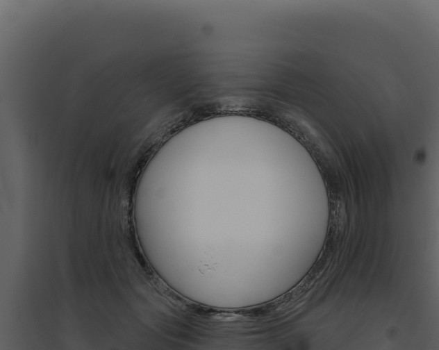 X0000094810557200711161006