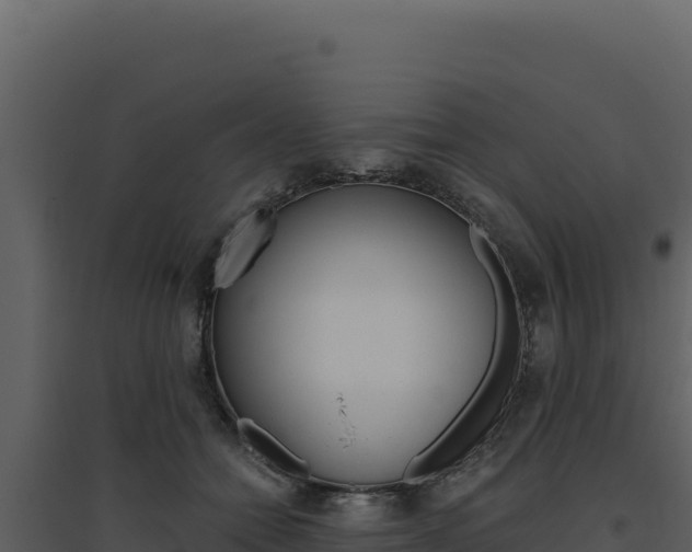 X0000094810558200711161006