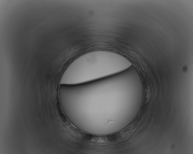 X0000094810559200711161006