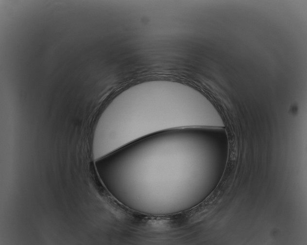 X0000094810560200711161006