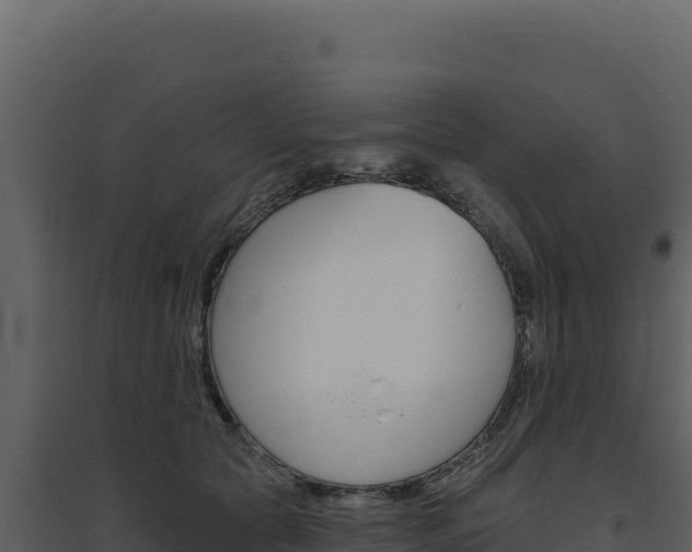 X0000094810561200711161006