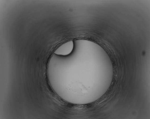 X0000094810563200711161006