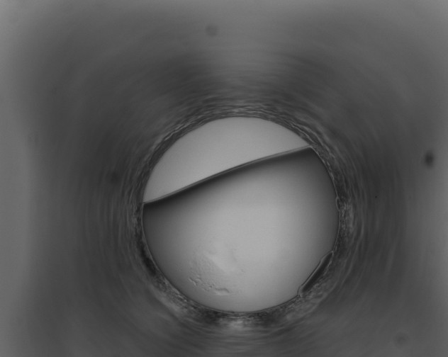 X0000094810564200711161006