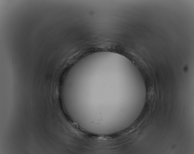 X0000094810566200711161006