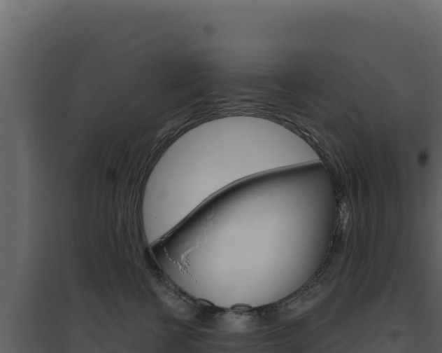 X0000094810570200711161006