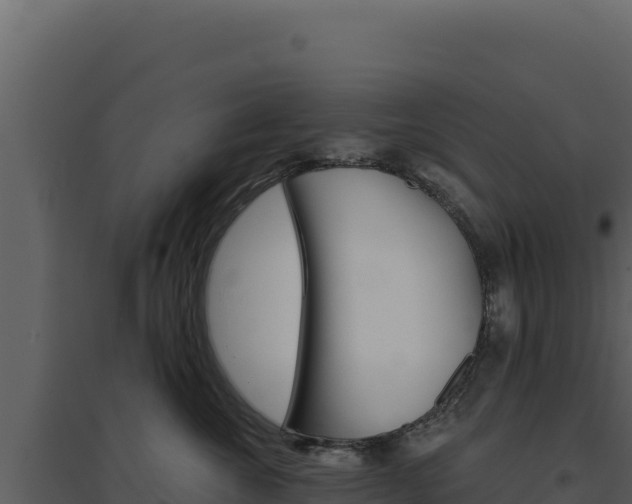 X0000094810572200711161006