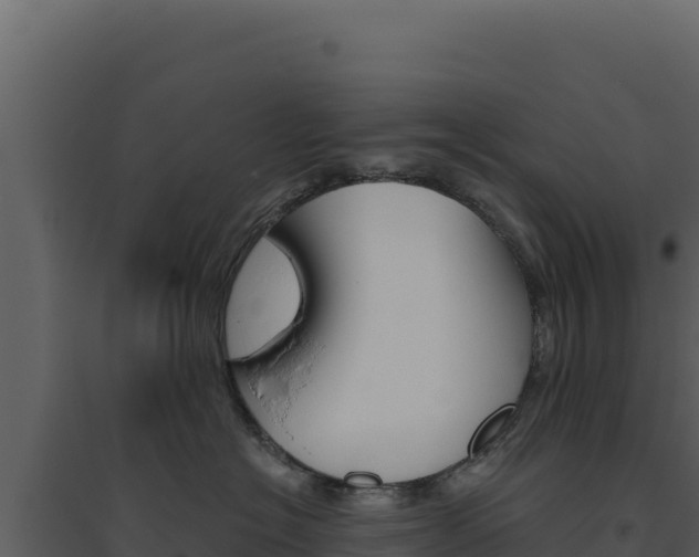 X0000094810574200711161006