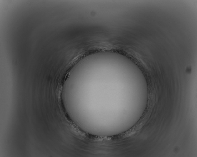 X0000094810576200711161007