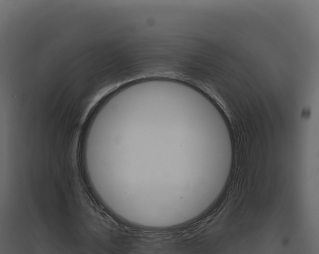 X0000094810579200711161006
