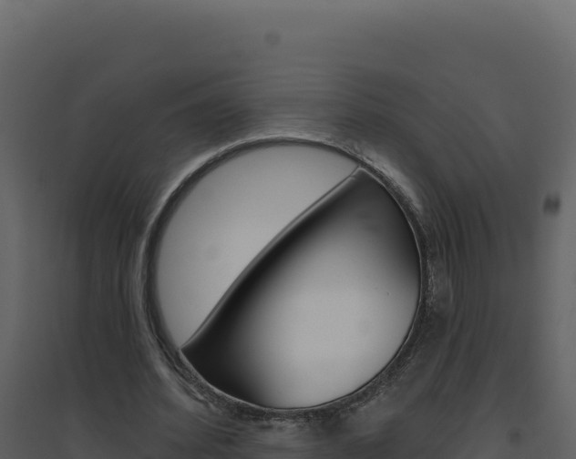X0000094810580200711161006