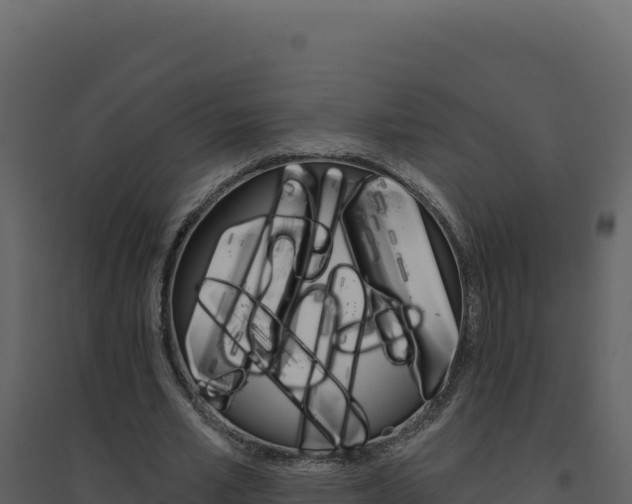 X0000094810581200711161006