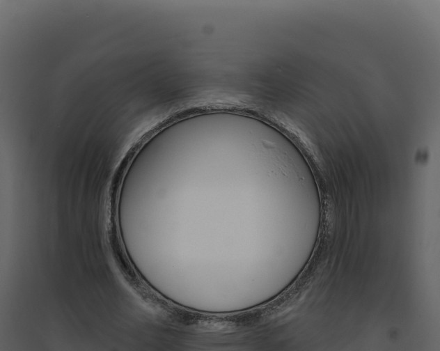 X0000094810582200711161006