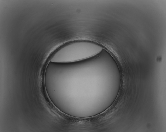 X0000094810584200711161006