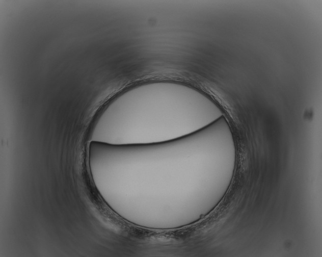 X0000094810586200711161006