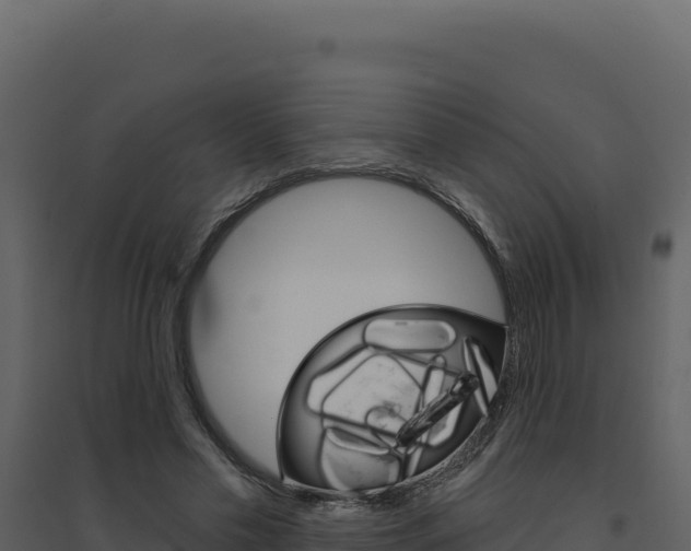 X0000094810589200711161006