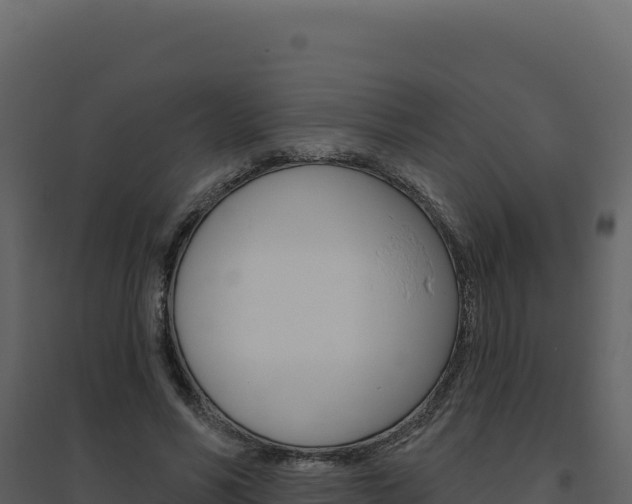 X0000094810590200711161006