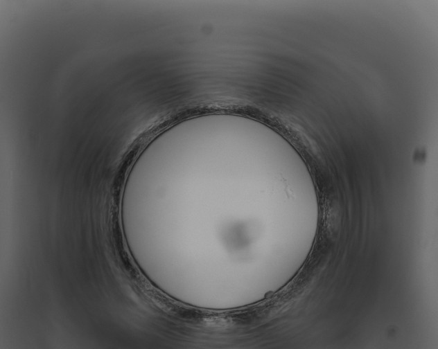 X0000094810591200711161006