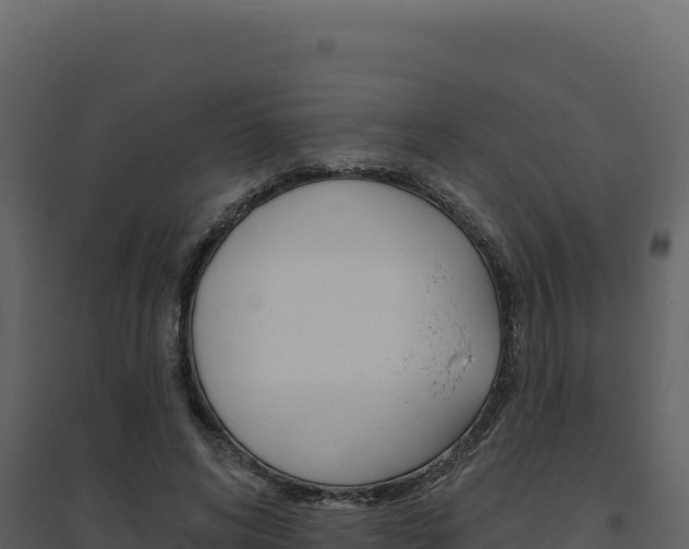 X0000094810592200711161006