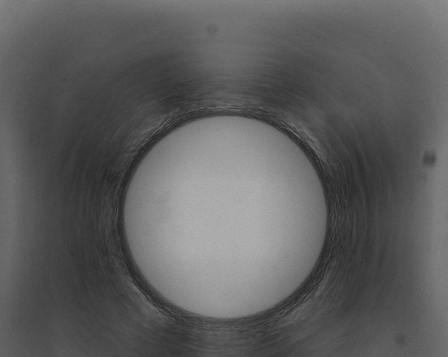 X0000094810593200711161006