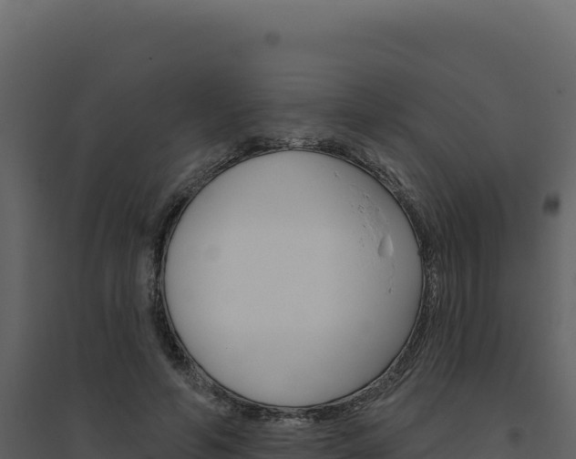 X0000094810594200711161006