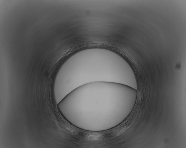 X0000094810595200711161006