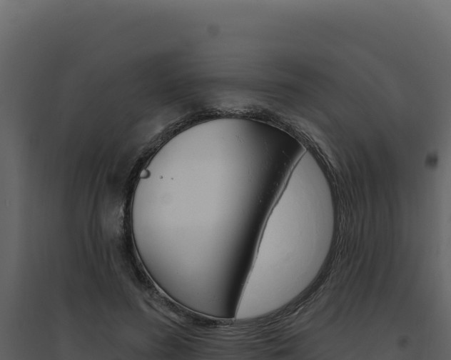 X0000094810596200711161006