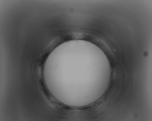 X0000094810598200711161006