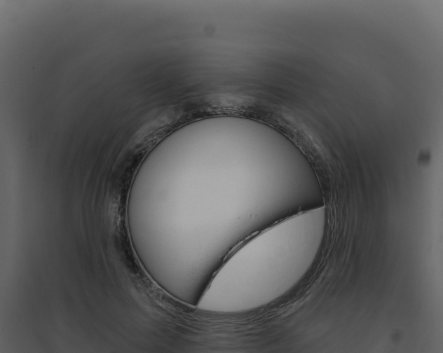 X0000094810599200711161006