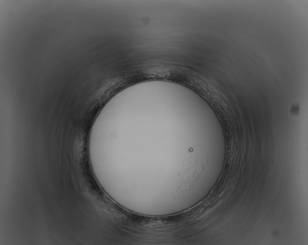 X0000094810600200711161006