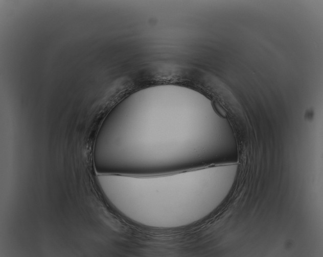 X0000094810601200711161006