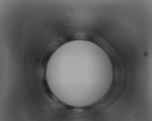 X0000094810602200711161006