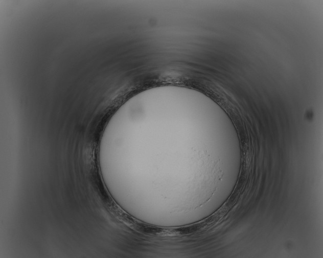 X0000094810603200711161005
