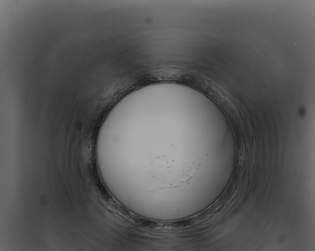 X0000094810604200711161005