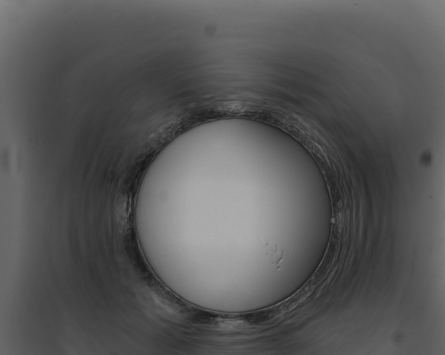 X0000094810605200711161005