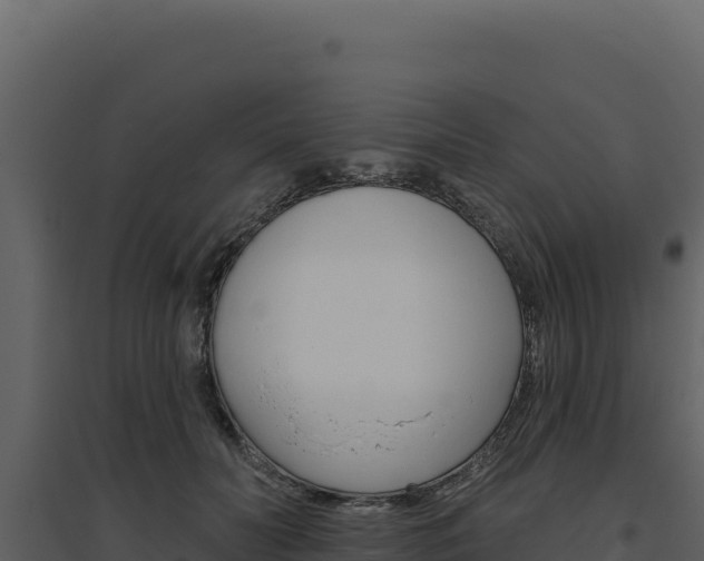 X0000094810606200711161005