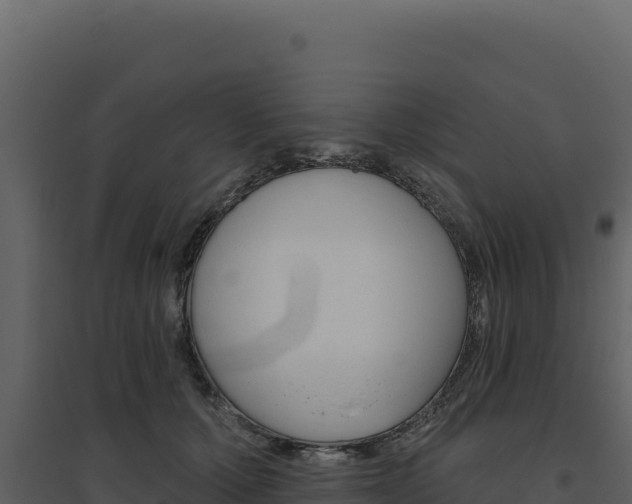 X0000094810607200711161005