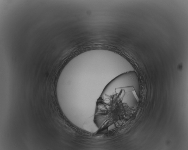 X0000094810609200711161005